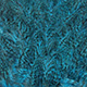 speckled dyed kingfisher blue