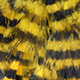 yellow/black