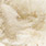 04 light brown