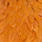 white dyed burnt orange