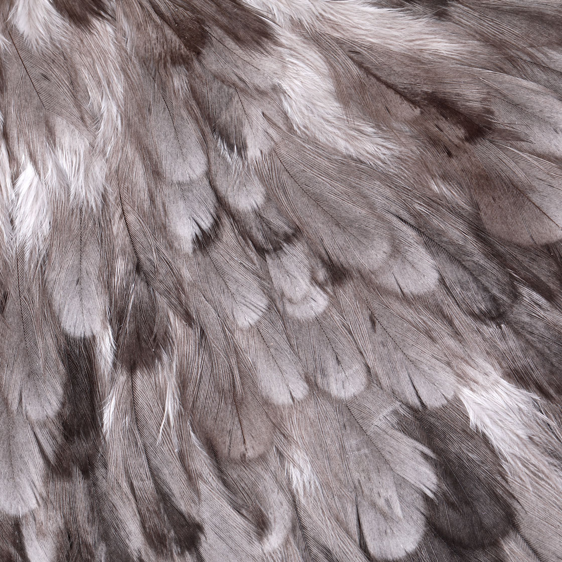 P-25378_Whiting-American-Hen-Saddle_detail_2