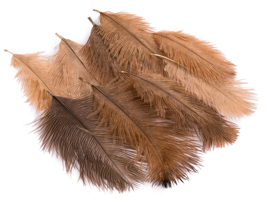 wapsi-ostricht-marabou-tan-1