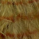 olive/barred brown