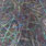 dark multicolor