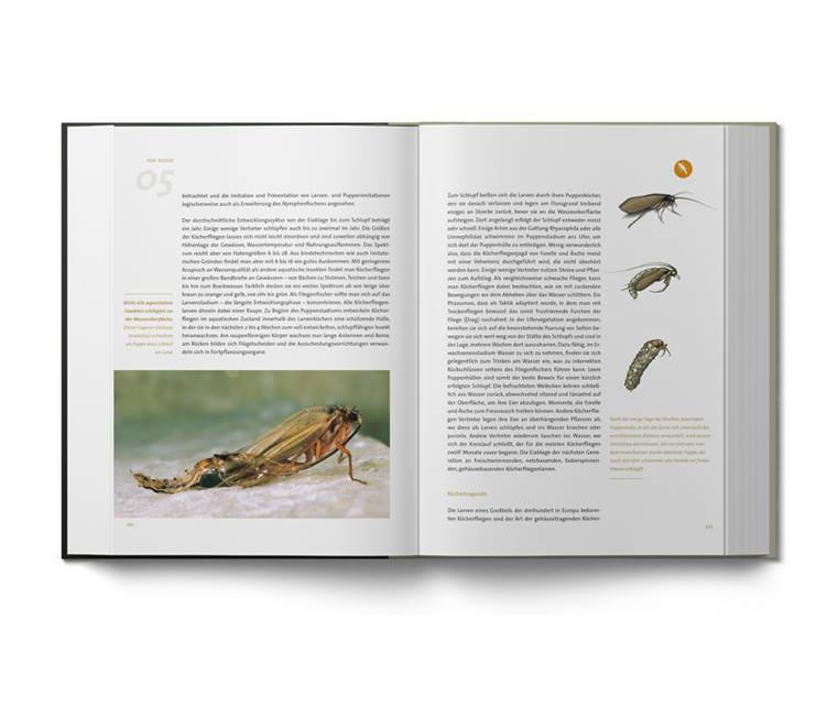 Nymphenfischen_03