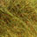 brown olive