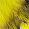 yellow black