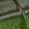 C-05