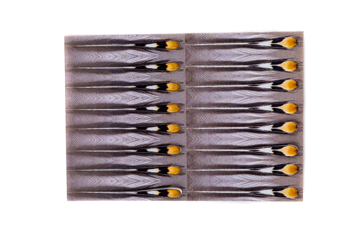 Future_Fly_Artificial_Jungle_Cock_3