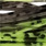 D-01