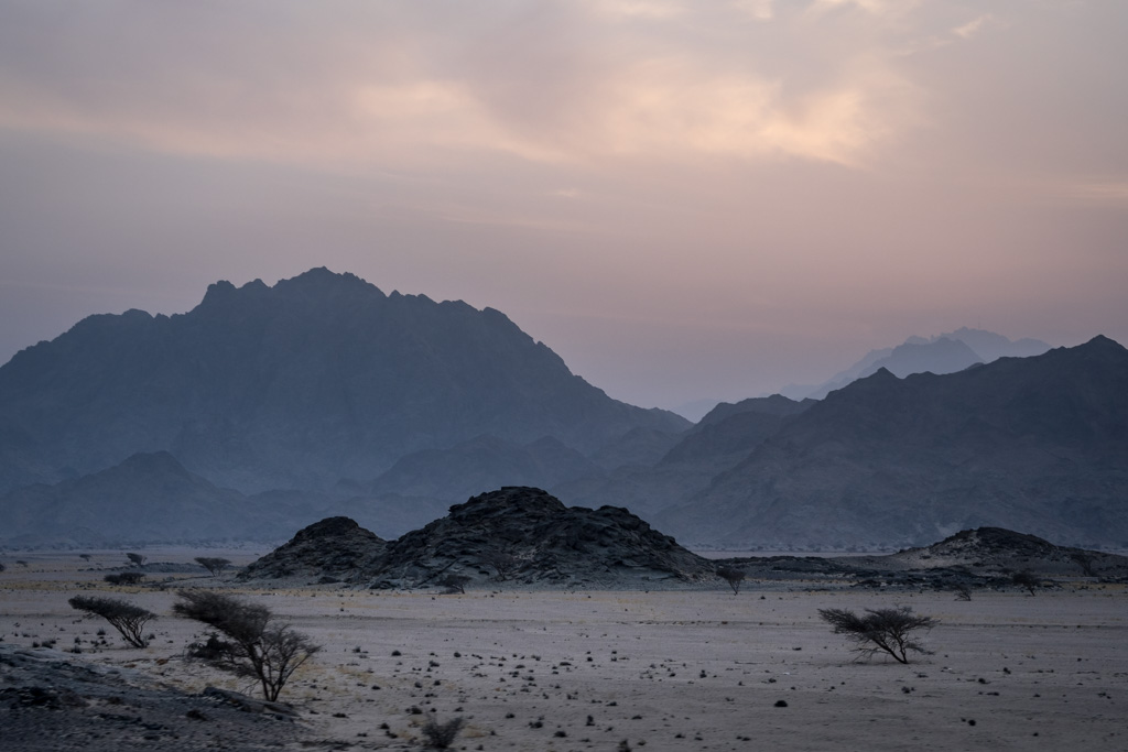 sudan2015-2 - Fliegenfischen auf den Nubischen Flats