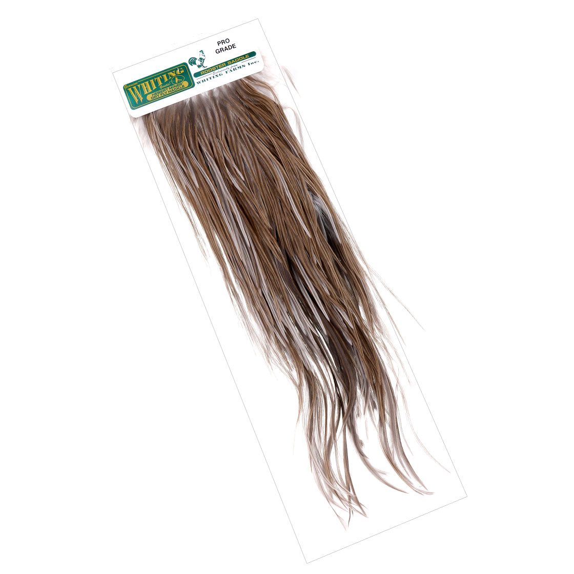 dark brown dun