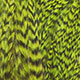 grizzly dyed fluo green chartreuse
