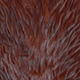 white dyed coachman brown