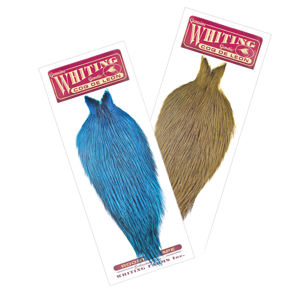 Whiting Coq De Leon Cape