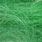 peacock green