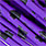 purple / black