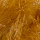 ginger