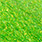 7962 chartreuse
