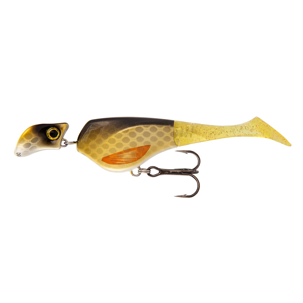 Golden Shiner
