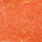 pearl salmon
