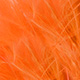 fluo sunburst orange