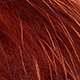 pathakorva brown