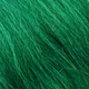 green highlander