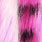 white/pink