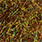 brown olive