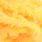 fluo sunburst