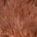 white dyed brown