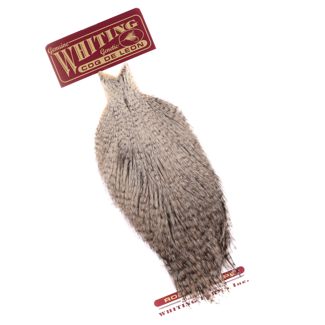 grizzly variant