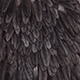 dark grey dun