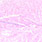 prawn pink