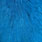 white dyed kingfisher blue