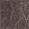 medium brown