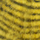 yellow/barred black