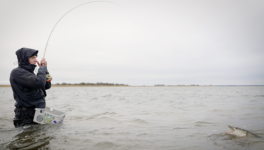 Vision_Pikemaniac_Blog_3