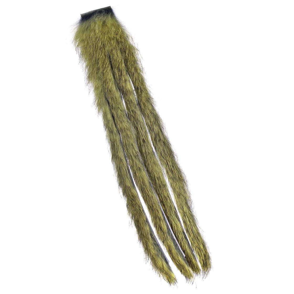 Olive Grizzly
