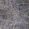 01 warm grey