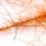 06 cinnamon