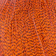 grizzly dyed burnt orange