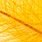 20 ochre