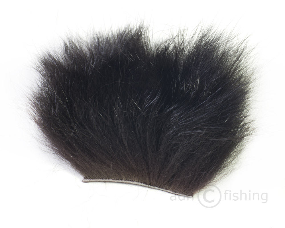 Ozzie_brown_hi brown