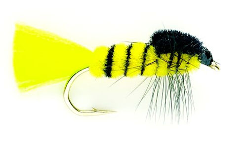 Fulling Mill Nymphe - Montana Wasp