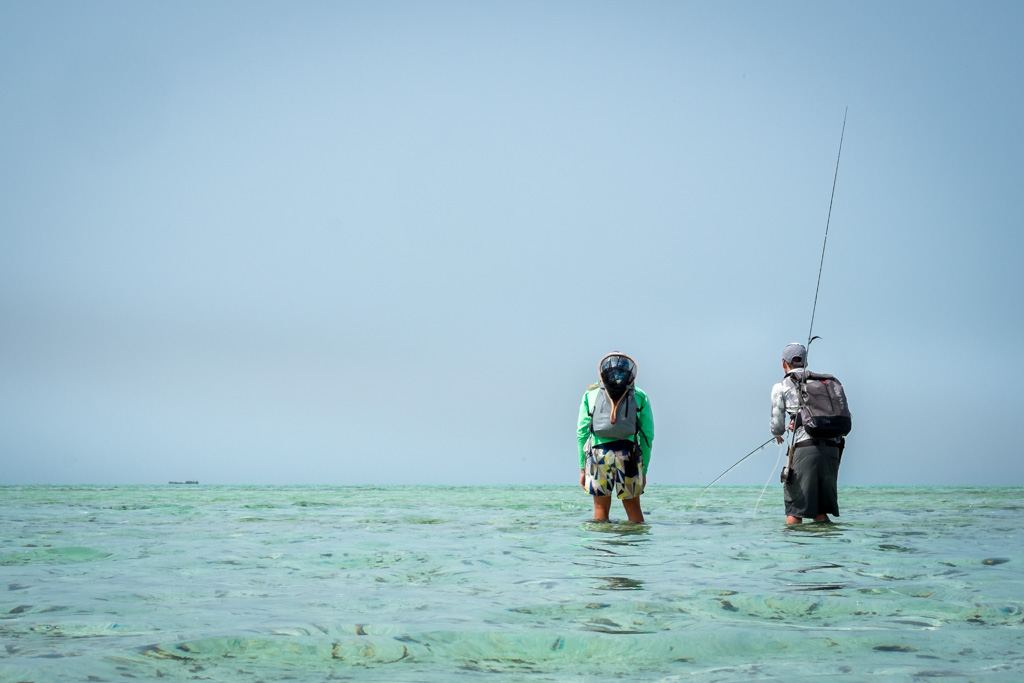 sudan2015-19 - Fliegenfischen auf den Nubischen Flats