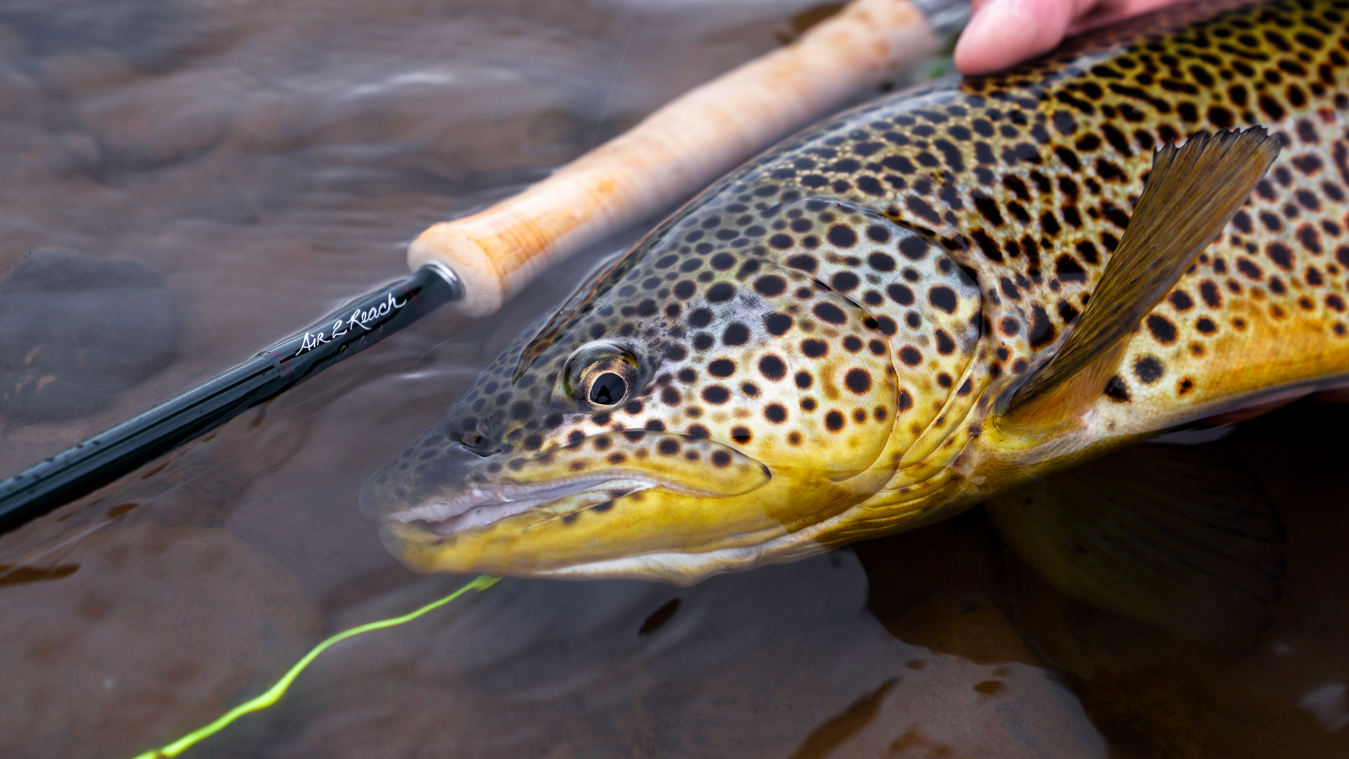 Review: Winston Air 2 Reach - Schnurkontrolle und Flixibilität