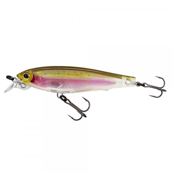 Real Rainbow Trout