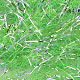 fluo chartreuse